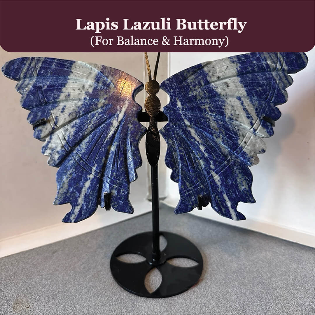 THE LAPIS LAZULI BUTTERFLY rratnaidhii
