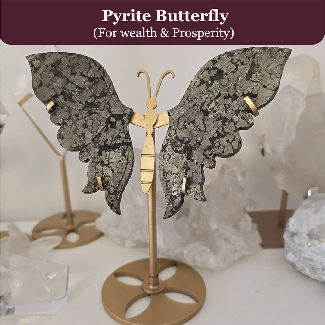 THE PYRITE BUTTERFLY rratnaidhii