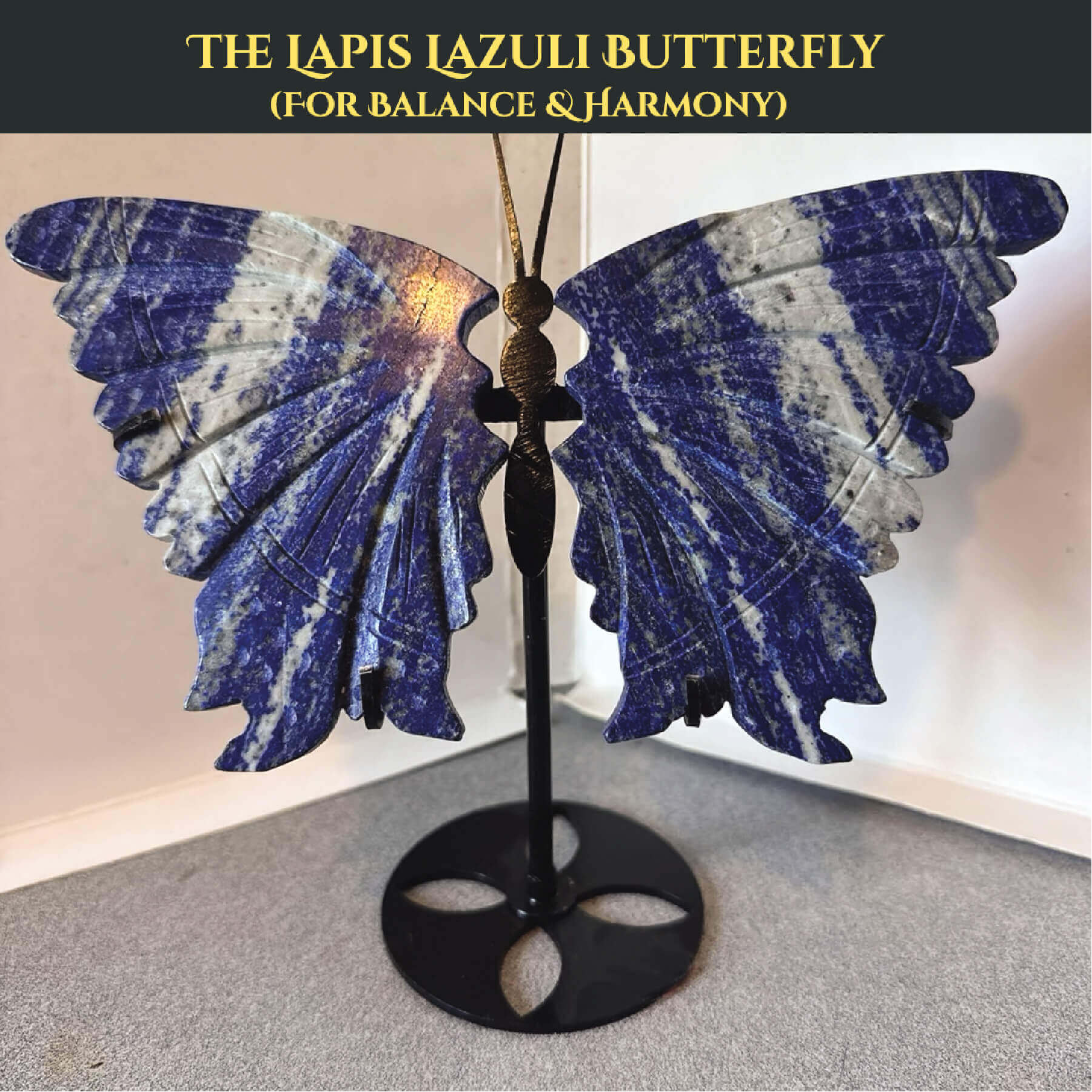 THE LAPIS LAZULI BUTTERFLY (Medium) rratnaidhii