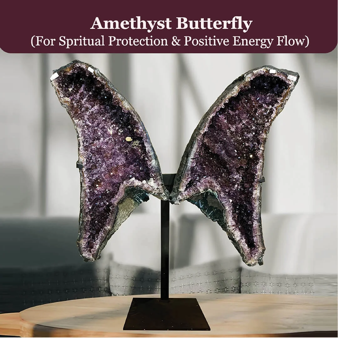 Amethyst Butterfly rratnaidhii