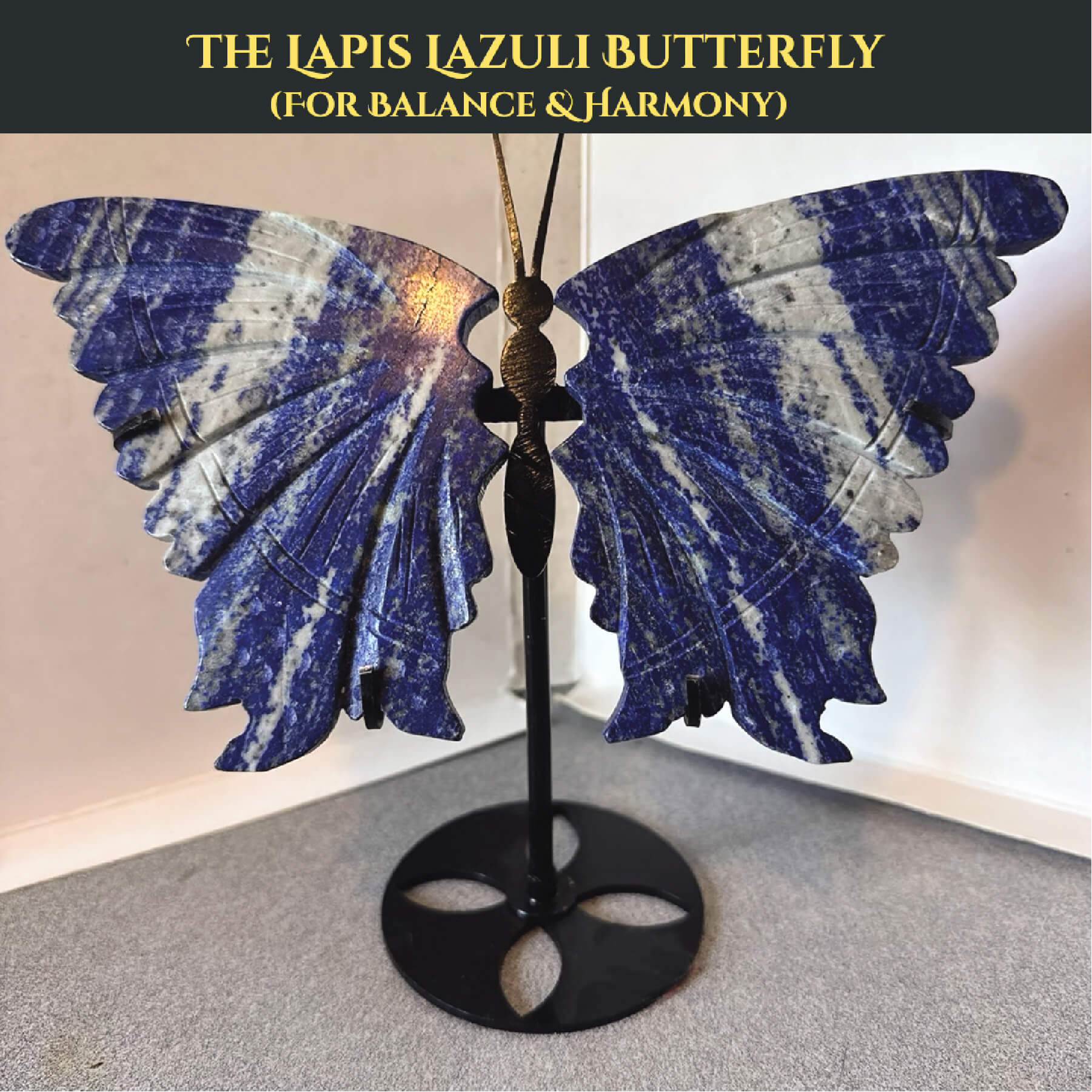 THE LAPIS LAZULI BUTTERFLY rratnaidhii