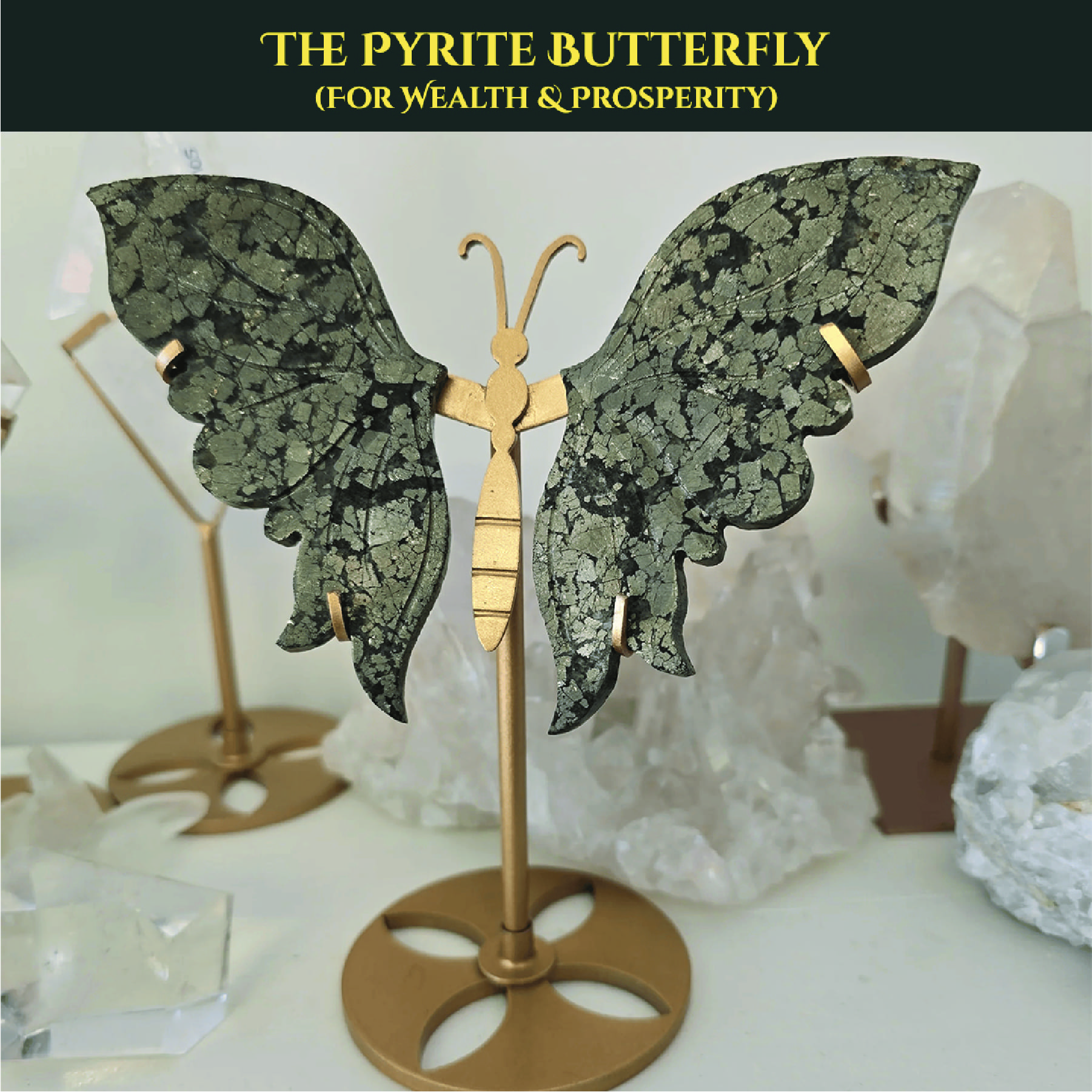 THE PYRITE BUTTERFLY rratnaidhii