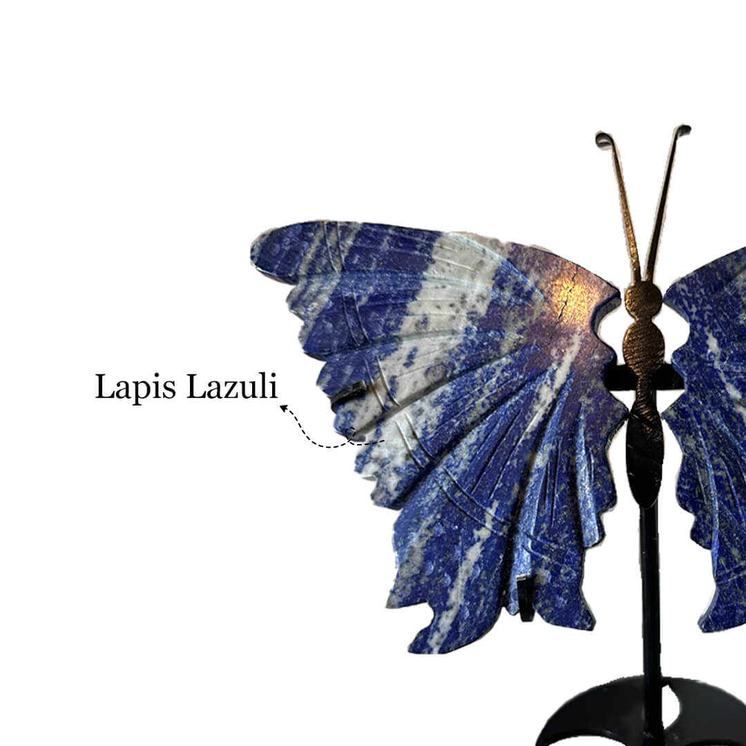 THE LAPIS LAZULI BUTTERFLY (Medium) rratnaidhii