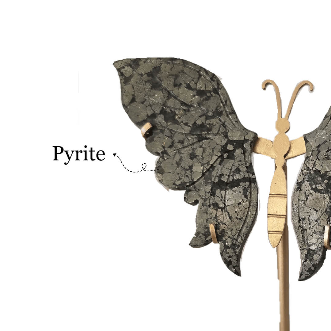 THE PYRITE BUTTERFLY (Medium) rratnaidhii