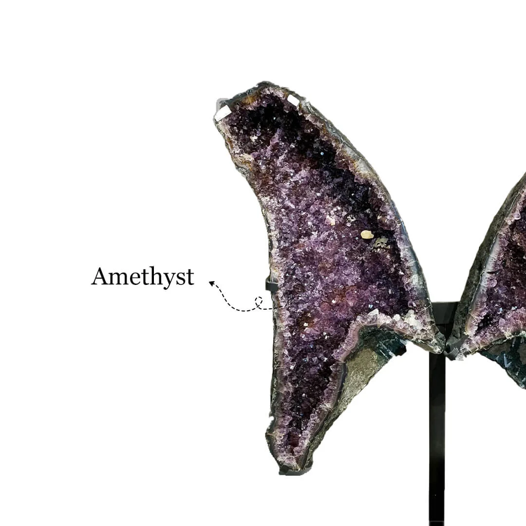 Amethyst Butterfly rratnaidhii