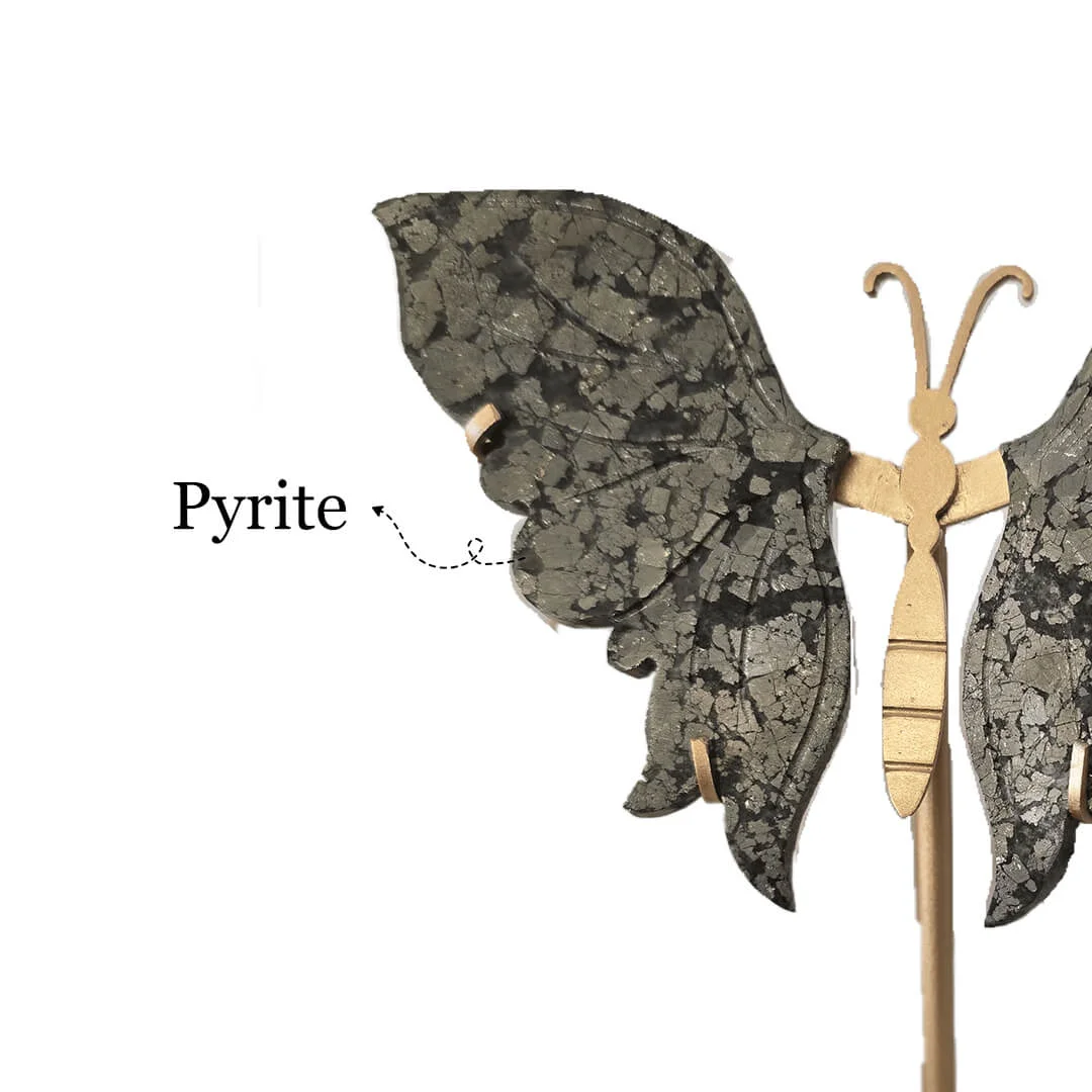 Pyrite Butterfly rratnaidhii
