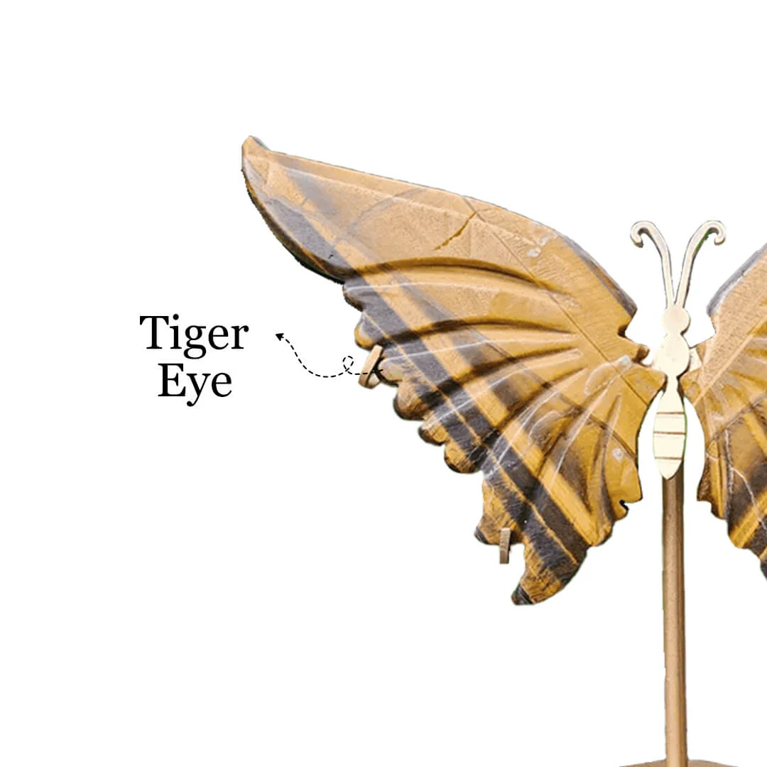 Tiger Eye Butterfly rratnaidhii