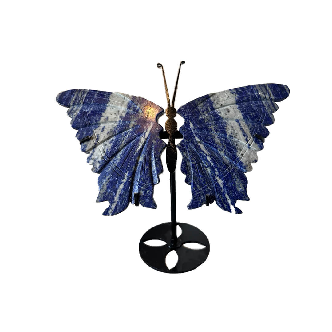 THE LAPIS LAZULI BUTTERFLY (Large)