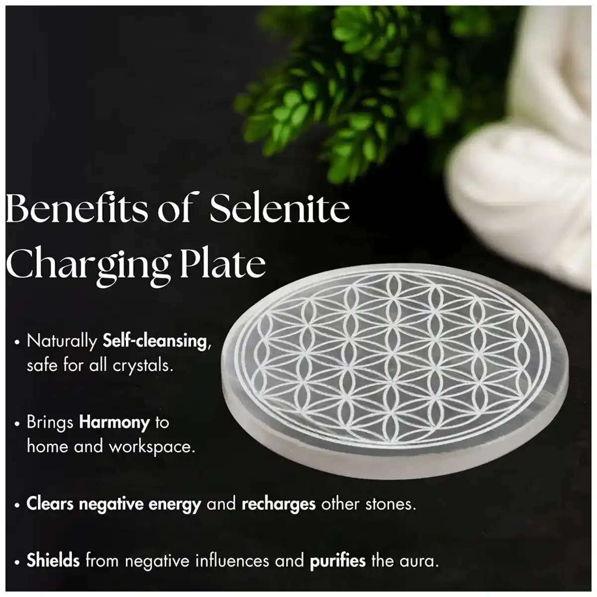 Flower of Life Selenite Charging Plate (Round) By Rrtananidhii