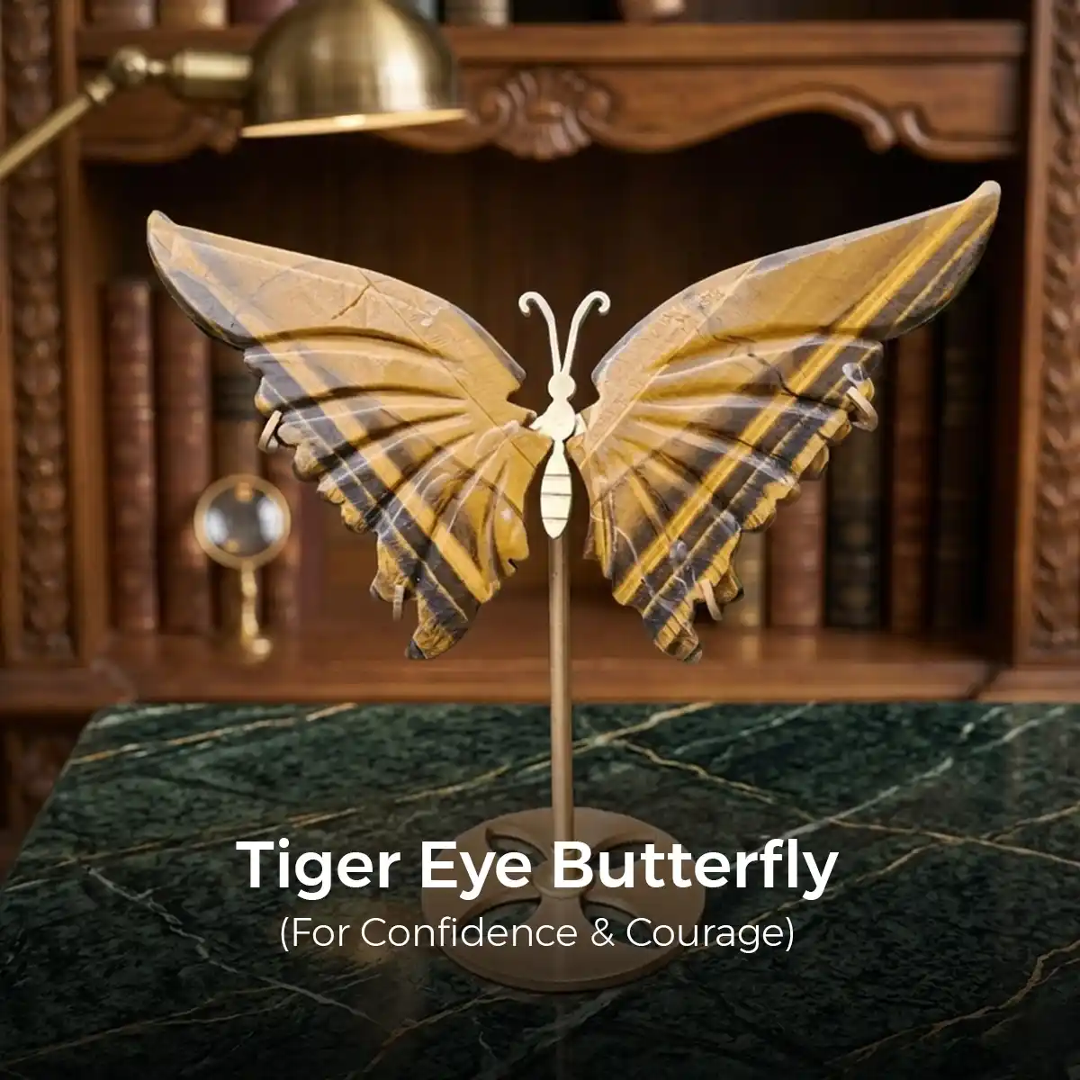 Tiger Eye Butterfly By Rratnanidhii