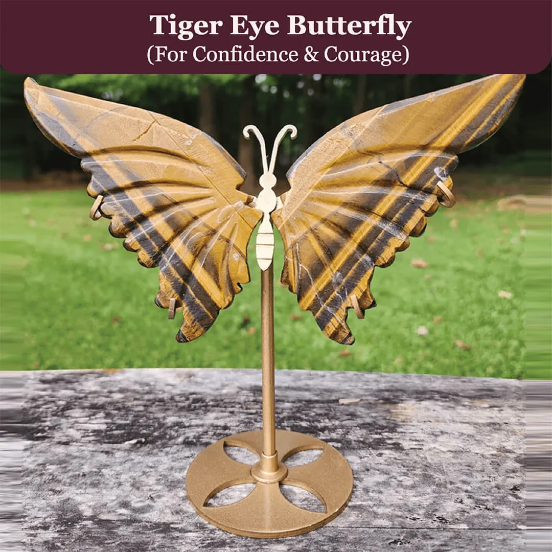 Tiger Eye Butterfly rratnaidhii